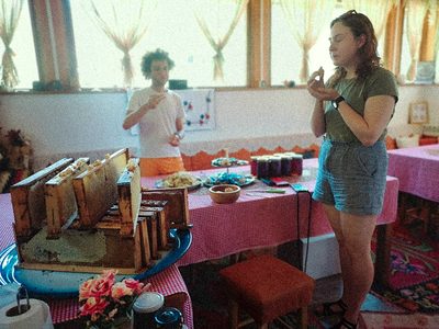 Tasting and extracting the honey, Mijakovići, 2024