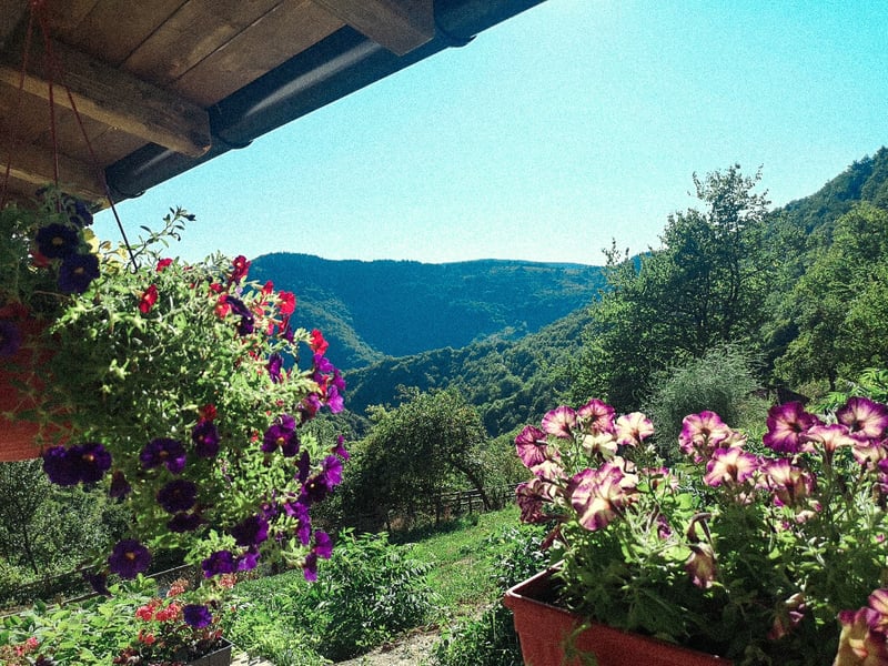 View from the terrace towards Bobovac