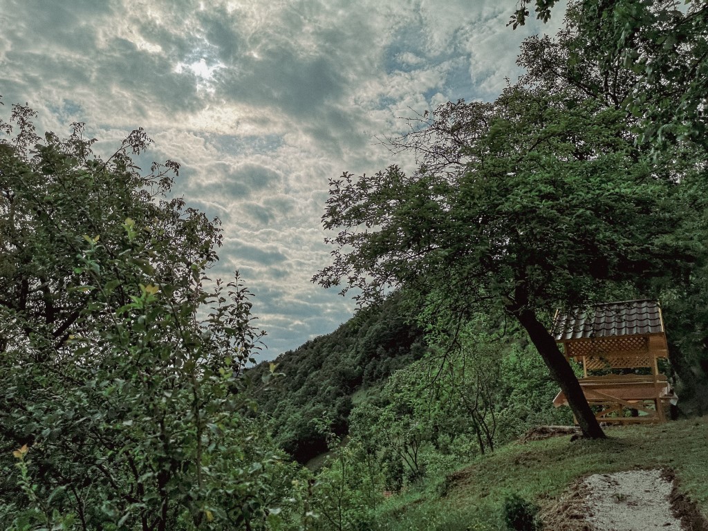 The house