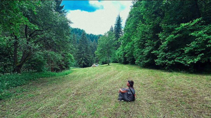 The meadow, mown · June 2026