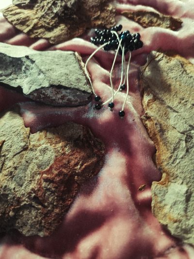 Subtle Impulses Through the Body &middot; 1