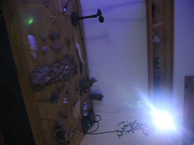 Collected materials · stone, bark, plants