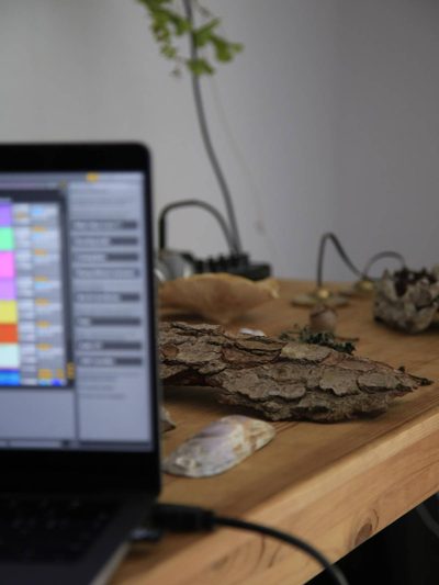Patch and materials