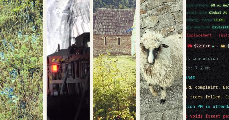 Concept photo collage of five vertical panels: forest texture, hearth fire, wooden roof shingles, lamb in profile, terminal output.