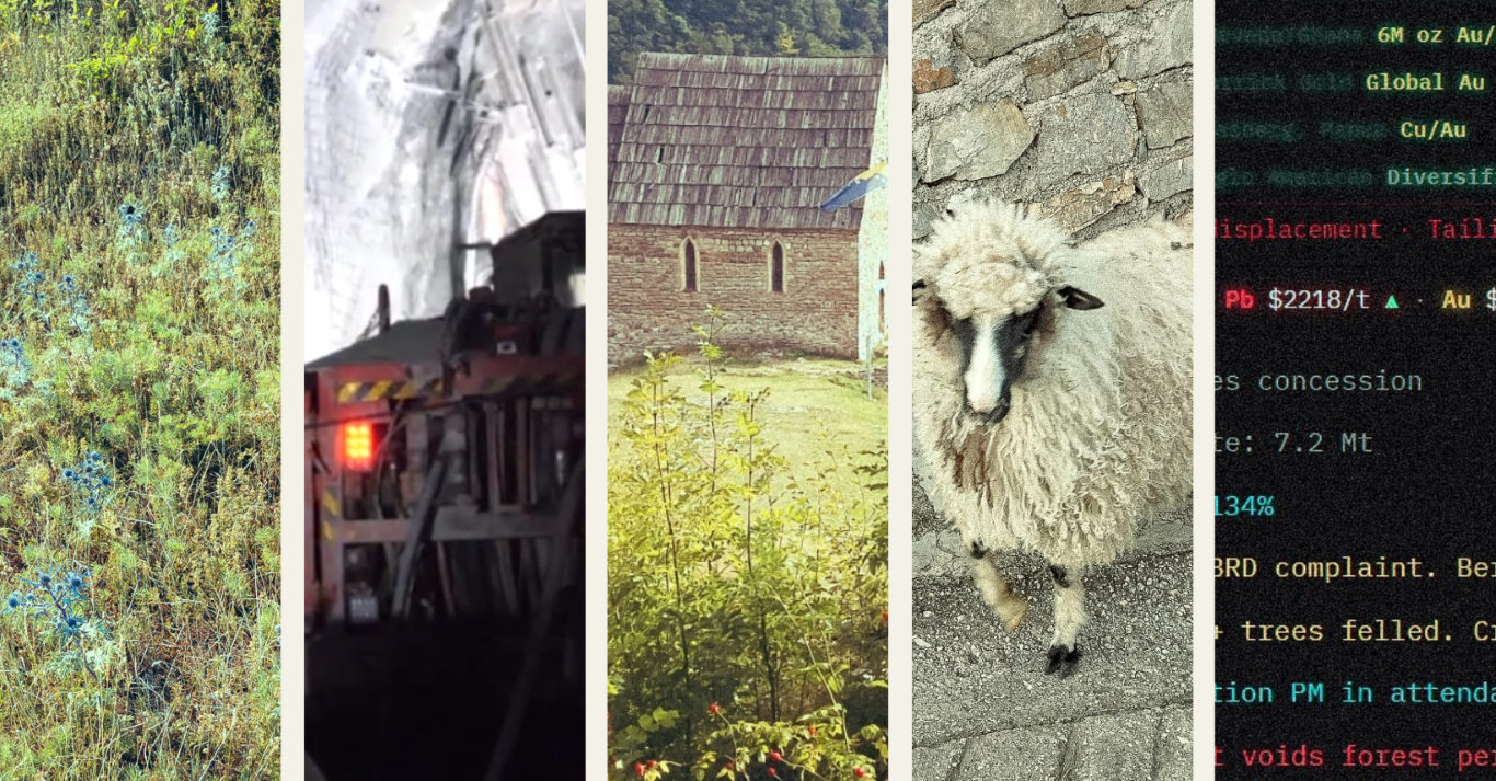 Concept photo collage of five vertical panels: forest texture, hearth fire, wooden roof shingles, lamb in profile, terminal output. Visual strata of TEREN_SЛОЈЕVИ¹: forest, fire, vernacular architecture, animal being, sound code.